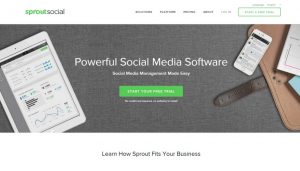 Untitled design (65)