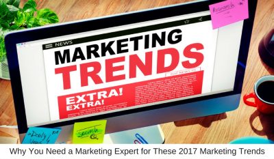 Why You Need a Marketing Expert for These 2017 Marketing Trends