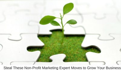 Steal These Non-Profit Marketing Expert Moves to Grow Your Business