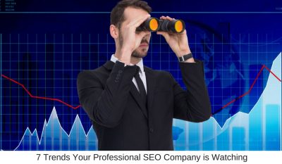 7 Trends Your Professional SEO Company is Watching