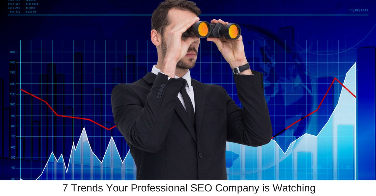 7 Trends Your Professional SEO Company is Watching