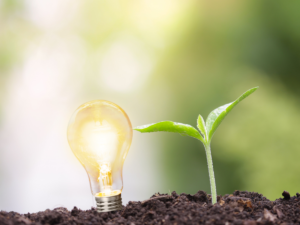 An Entrepreneur Brings Ideas to Life