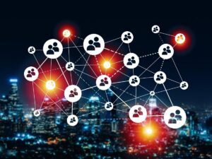 Social Media Audience