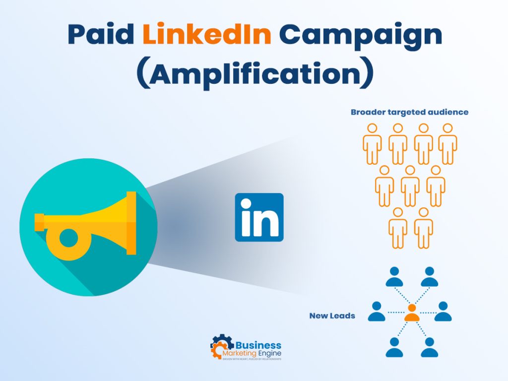 Paid LinkedIn Campaign (Amplification)